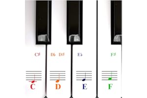 QMG Autocollants Piano Pour Touches De Clavier 49/61/ 76/88 – Transparents Et Amovibles