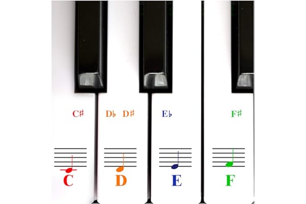 Autocollants Piano Pour Touches De Clavier 49/61/ 76/88 – Transparents Et Amovibles