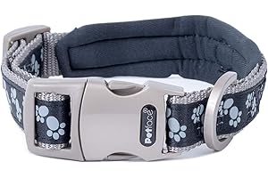 Petface psy; szczeniak; wyściełane; małe; ołów; pies; obroża; i; obroże;