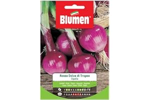 BLUMEN Cipolla Rossa Dolce Tropea