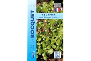 Sachet de graines de Pourpier doré à larges feuilles - 1 g - légume feuille - LES GRAINES BOCQUET