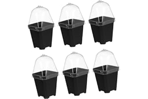 Garneck 10 Stück Anzuchttöpfe Mit Untersetzer Und Kuppel – Durchsichtige Kunststoff Pflanztöpfe Für Die Gartenarbeit Und Pflanzenanzucht - Ideal Für Den Kindergarten Und Hobbygärtner