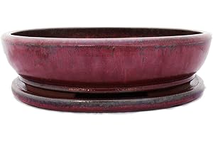 EXOTENHERZ Bonsai pot avec soucoupes, 6--cuivre or rouge-ovale-longueur : 36 cm - 28 cm-hauteur 10 cm