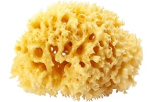 OKBABY Esponja Honeycomb - Esponja Natural Del Mar Mediterráneo Para El Baño De Bebé, Ultra Suave Y Suave, Ideal Para Pieles Delicadas, color Amarillo, 12, 20 g