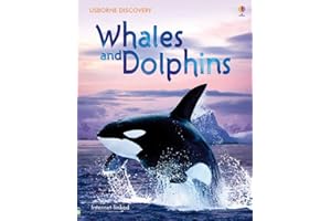 Whales and Dolphins (Usborne Discovery)