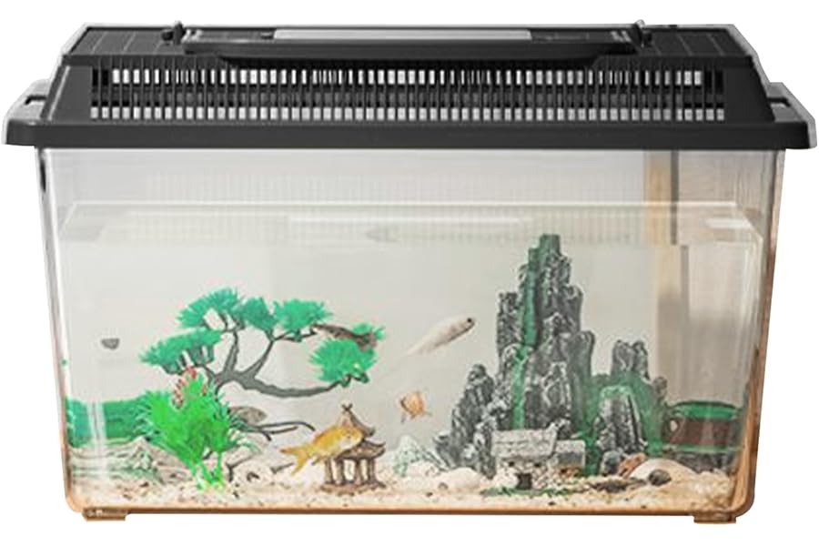 Reptile Terrarium | Reptile Feeding Box Lizard Tarantula | Small Tank Feeding Box with Handle Terrarium Hatching Carrier for Snail, Outdoor & Home