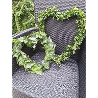 Buchsbaum/Efeu Mix Herz in 2 Grö