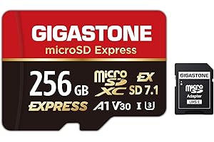 【Progettato per Switch 2】GIGASTONE microSDXC Express 256 GB, SD 7.1, R/W fino a 880/650 MB/s, A1 V30 U3, compatibile con Nintendo Switch 2 e fotocamere professionali, con adattatore SD.