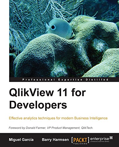 QlikView 11 for Developers: Effective analytics techniques for modern Business Intelligence (English