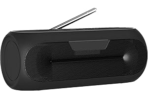 RIENOK Przenośny głośnik radiowy Bluetooth z 12-godzinną autonomią 2000 mAh z radiem FM i pamięcią Dab+ 60 stacji Port AUX Ładowanie USB-C