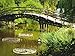Produktbild Artland Qualitätsbilder I Wandbilder selbstklebende Wandfolie 120 x 90 cm Landschaften Garten See Foto Grün C8UY Japanische Gartenbrücke in Wroclaw Polen