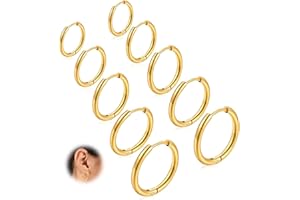 Crrynuo 10 Pcs 8-16mm Titanium Steel Nose Rings,Hinged Nose Ring Septum Hoop Clicker Seamless Lip Helix Tragus Sleeper Earring Hoop Segment Piercing for Women Men