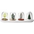 Set De 4 Distributeurs à Épices "4 Saisons" – Boîtes Pratiques Et Déco