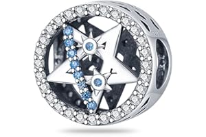 TINSLO Ciondolo Argento Sterling 925 con Cubic Zirconia Pendenti per Pandora Braccialetti, Compatibile con Braccialetti e Collane europei, perfetto Regali per Moglie e Ragazze