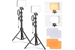 NEEWER BASICS BP66 LED Video Light Panel Lighting Set, Pack of 2, Bi-Colour Dimmable Portable Studio Lights with Stand Filters, 3200K~5600K CRI 95 750Lux, Photo Light for Video Recording Live