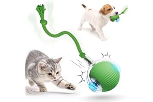 HOIDOKLY 2025 Nuevo Juguete Interactivo para Gatos y Perros, Juguete Eléctrico con Carga USB, Tres Modos de Trabajo, 360° Smart Automatic Rolling Pet Ball (Verde)