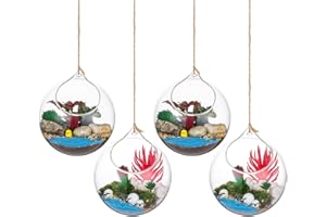 GLASSEAM Plantas Colgantes de Aire 4 Piezas Portavelas de 4.72 Inches Cristal Terrario Portavelas Contenedores de Plantas de Vidrio para el Diseño de Bricolaje de Jardín de Bodas en Casa