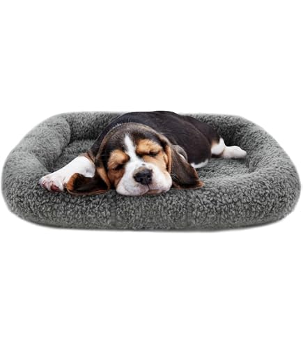 MidWest Homes For Pets Wendbares Hundebett – Maschinenwaschbar, Für Mittelgroße Hunde