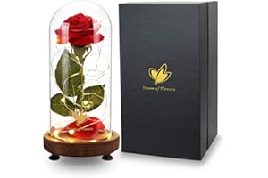 DREAM OF FLOWERS Rose Eternelle,Rose Eternelle Sous Cloche,Cadeau Unique Pour la Saint Valentin,Fête des mères,Noël et Un Anniversaire,Rose Galaxie pour Elle,Cadeau de Noël pour la dame.(Base Trépied)