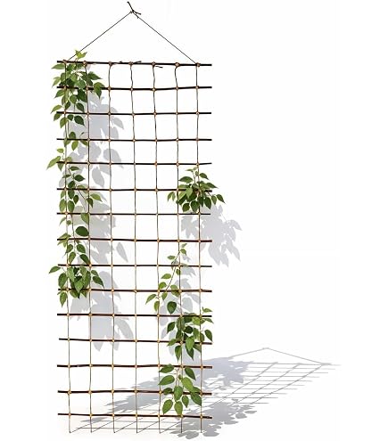 Obélisque / Arche De Jardin En Bois 1,5 M - Support Pour Plantes Grimpantes