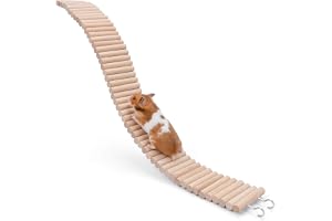Niteangel Hamster Suspension broleksak: Lång klättringsstege för dvärgsyriska hamstermöss Gerbils och andra små djur (25,6 L