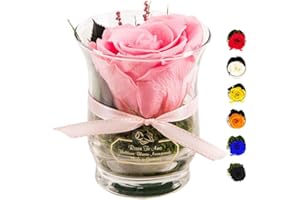 Rosen-Te-Amo |Ewige Rose im Glas, duftend, handgefertigt, rosa|Echte ewige Rose in Geschenkbox |Geschenk für Frauen, Mama|Konservierte Rose zum Weihnachten, Valentinstag, Muttertag, DekoGeschenk