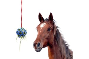 Futterspielball für Pferde, Darryy Pferde Leckerli Ball Blauer, Futterball für Ziegen, Heu Slow Feeder für Pferd, Pferdeball für Pferde mit Red Nylon Seil, Heu Futterspender für Pferde, Ziegen, Schafe