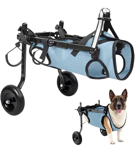 Hunde Rollstuhl Fr Hinterbeine - Verstellbarer Mobilittshilfe-Wagen Mit  Mesh & Sicherheitsschnallen, Leichter Aluminiumrahmen Fr Kleine  Hunde/Katzen Fr Kleine Hunde Katzen