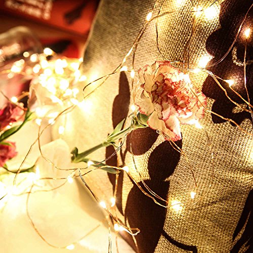 EnGive Lichterkette Warmweiß Kupferdraht Weihnachtsdeko 100er LED 10M Lichterketten Garten Weihnachtsbeleuchtung - 4