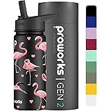 PROWORKS Gen 2 Borraccia Termica con Cannuccia | 540ml Bottiglia Acqua in Acciaio Inox | Bevande Fredde 24 Ore e Bevande Cald