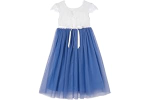 Beganly Girls' Holiday Dresses, Lace V-Back Dress, Sleeveless, Fluffy Tulle Princess Party Dress, Flower Girl Dresses