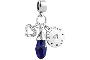 FGT Jan to Dec Birthday Birthstones Love Heart Crystal Dangle Charms Compatible with Pandora Bracelets for Women