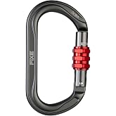 FIXE - &Ograve;liba Oval Screw Lock Aluminium Carabiner for Pulleys and Technical Maneuvers - Hexagonal Thread Closure 13 mm - High