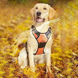 Pets Empire Dog Soft Mesh without Pull Padded Easy Fit Harness Car with Adjustable Reflective Clip for Dogs, Large (Colour May Vary) - Set of 1
