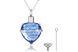 Canghai Rousa Heart Cremation Urn Necklace for Ashes, Stainless Steel Keepsake Pendant Necklace Ashes Holder Memorial Jewelry for Mum Dad Women Men Dog Pet