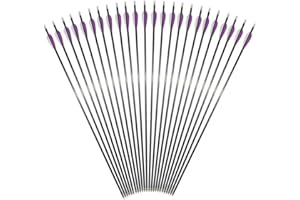 Huntingdoor 31" Carbon Arrow 350 Spine Archery Hunting Arrows with 100 Grain Screw in Tips Target Arrow for Recurve Bow Compound Bow