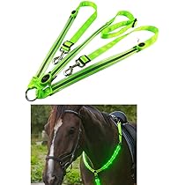 Collare LED Per Cavallo - Pettorale Regolabile Con Luci | Sicurezza Per Equitazione Notturna - Foto 6