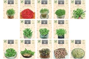 NOJAUS SĖKLOS Nojus - Set di semi di verdure microgreen - 13 varietà per giardinaggio indoor, ravanello, porri e altro - facile da coltivare