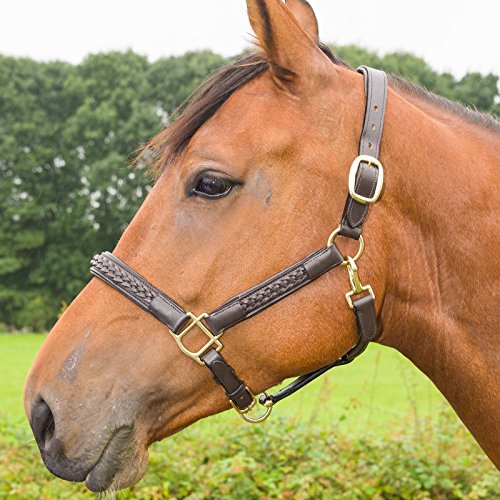 White-Horse-Equestrian-Quanlity-Leather-Braided-Plaited-Halter-All-Colours-Sizes