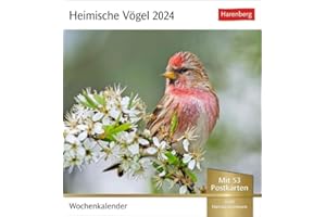 Heimische Vögel Postkartenkalender 2024. Wochenkalender im Postkarten-Format mit Vogelporträts. Tischkalender mit wöchentlich neuen Postkarten zum ... Verschicken: Wochenkalender mit 53 Postkarten