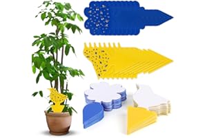 DANNEEFORSU7 Trappola adesiva per mosche, lavagne blu e lavagne gialle, trappola per mosche, zanzare, trappola adesiva contro tripidi, trappola per mosche della frutta, acchiappamosche per giardini,