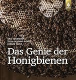 Image de Das Genie der Honigbienen