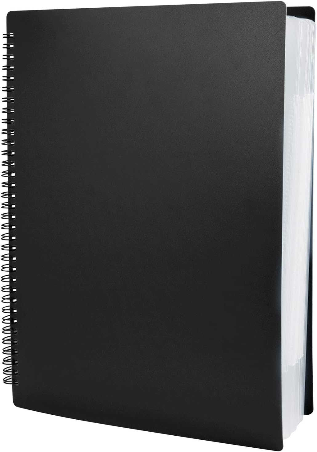Vue 10