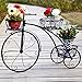 Produktbild LILSN- Eisen-Blumen-Rahmen Mehrstöckiges Fahrrad Blumen-Rahmen-Fußboden-Art Wagen-Feld Europäischer Art-kreativer Balkon-Regal-Wohnzimmer-Blumentopf-Zahnstange ( Farbe : Schwarz , größe : 60*22*44cm )
