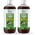 DiabeSmart Karela Jamun Juice 1L x Pack of 2| Scientifically Formulated to Help Manage Sugar Levels
