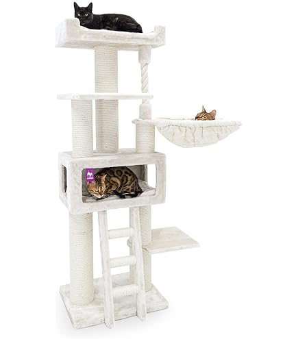 elektrisches katzenspielzeug Katzenspielzeug Elektrisch, Katzenspielzeug Selbstbeschäftigung mit an –  techstudio.ch main image 1