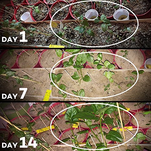 Pflanzenlampe TaoTronics LED Pflanzenlampen 36W E27 vollspektrum Wachstum Tageslicht Pflanzenleuchte für Garten Gewächshaus Zimmerpflanzen Blüte Blume Gemüsse - 4