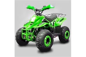 T-MOTO.IT #1 OFF ROAD LEADER T-MOTO Mini quad a benzina Kid 125cc, Quad bambini benzina 4 Tempi, Quad 125cc con portapacchi e paramani VERDE