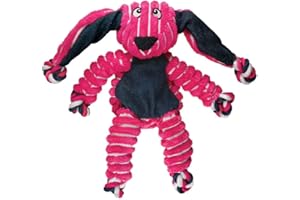 KONG Liny dla psa z dyskietkami, małe/średnie