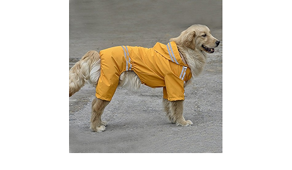 springer spaniel raincoat